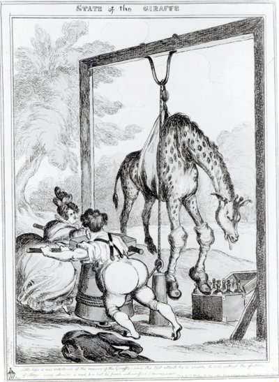 Giraffens tilstand, 1829 af William Heath