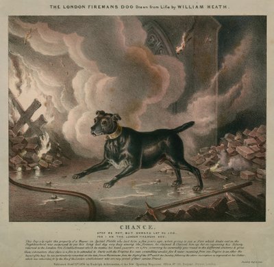 Brandmandens hund fra London af William Heath