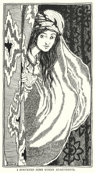 Jeg undersøgte nogle andre lejligheder (gravering) af William Heath Robinson
