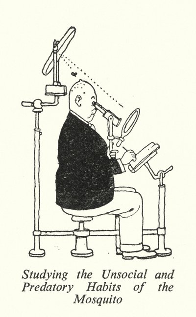 At studere myggens usociale og rovdyrvaner (litho) af William Heath Robinson
