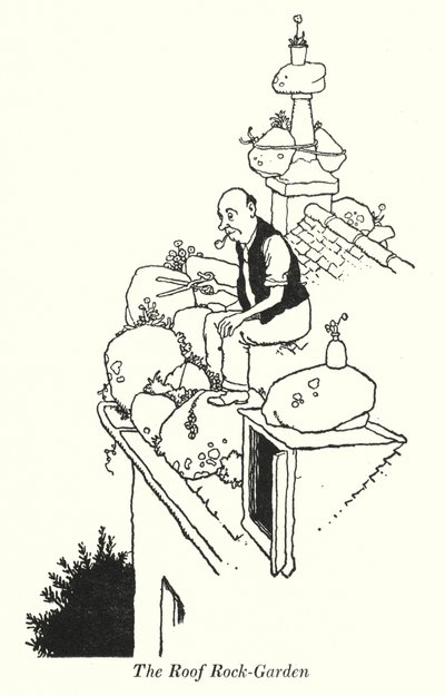 The Roof Rock-Garden (litho) af William Heath Robinson