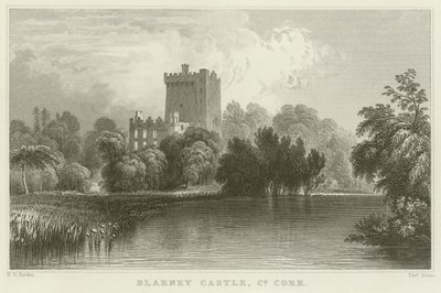 Blarney Castle i County Cork af William Henry Bartlett