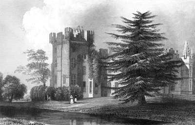 Faulkbourne Hall, nær Witham, Essex, indgraveret af Henry Wallis, 1832 af William Henry Bartlett