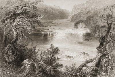 Salmon Leap at Leixlip, County Kildare, fra 