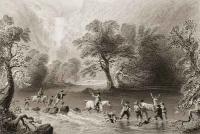 At tage en kronhjort nær Derrycunnihy Cascade, County Kerry, Irland, fra 