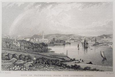 Udsigt over Waterford fra The Dunmore Road, Irland, indgraveret af W. Taylor af William Henry Bartlett