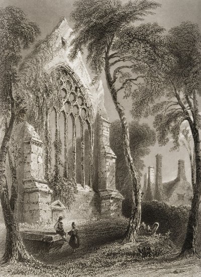 Youghal Abbey, County Cork, Irland, fra 