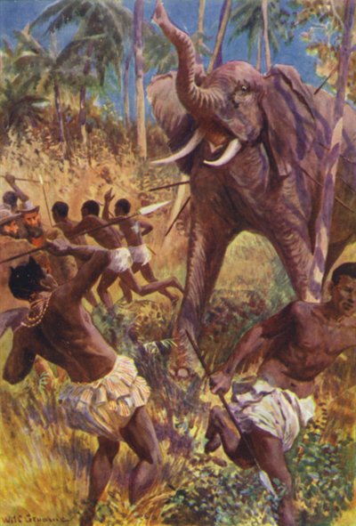 Illustration til The Gorilla Hunters af RM Ballantyne (farve litho) af William Henry Charles Groome