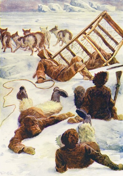 Illustration til The World of Ice or the Whaling Cruise of The Dolphin (farvelitografi) af William Henry Charles Groome