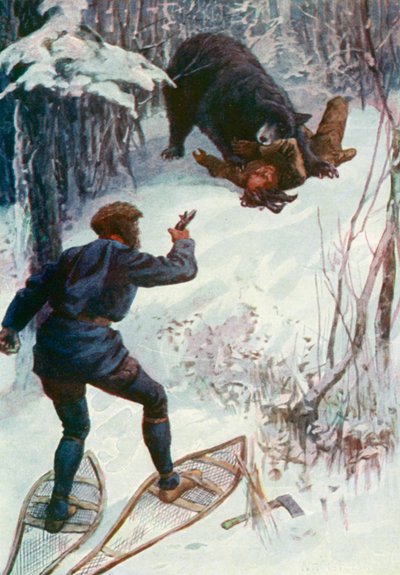 Bjørnen stod over ham og holdt en af hans arme i munden af William Henry Charles Groome