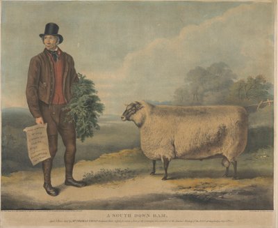 En South Down Ram; Aged 3 Years, opdrættet af Mr. Thomas Crisp, Gedgrave Hall, Suffolk, for hvilken der blev uddelt en pris på 30 Severeigns ved årsmødet i R.A.S. i Cambridge den 15. juli 1840 af William Henry Davis