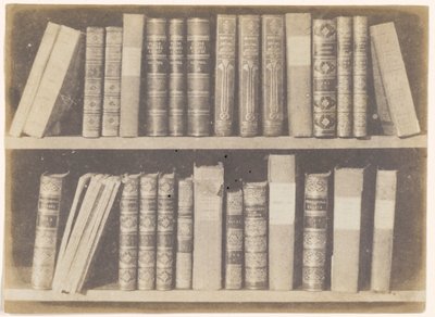 En scene i et bibliotek, plade VIII fra Naturens blyant af William Henry Fox Talbot