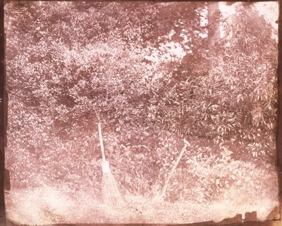 Kost og spade, 1842 af William Henry Fox Talbot