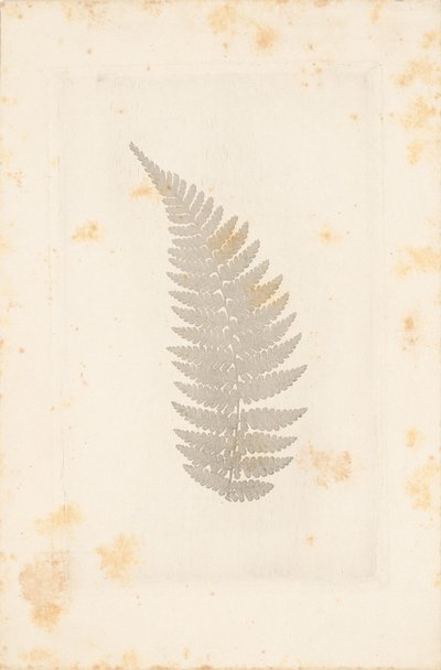 [Far] af William Henry Fox Talbot