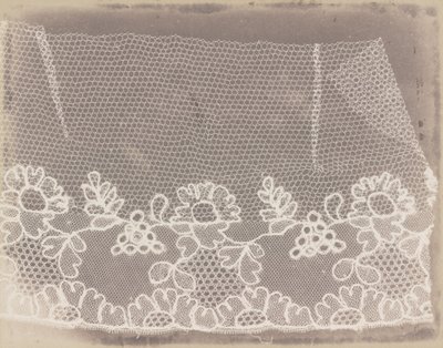 Blonder af William Henry Fox Talbot