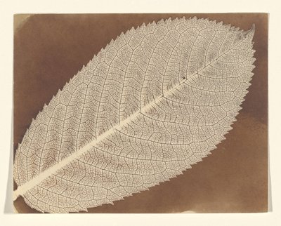  af William Henry Fox Talbot