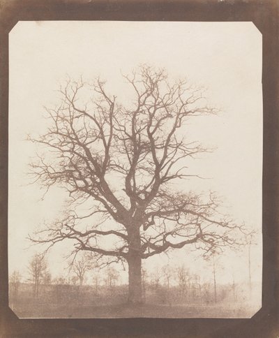  af William Henry Fox Talbot