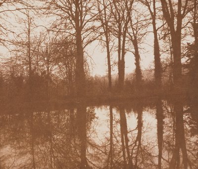 Reflections, 1843 (sepia foto) af William Henry Fox Talbot