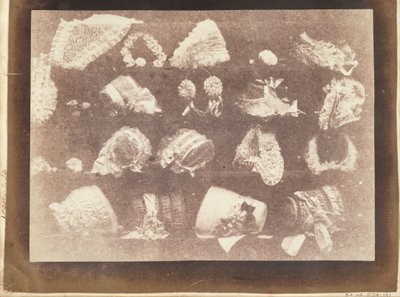Milliner -vinduet af William Henry Fox Talbot