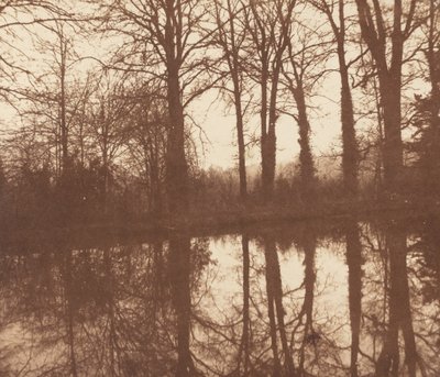 Vintertræer, reflekteret i en dam af William Henry Fox Talbot
