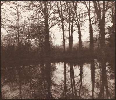 Vintertræer reflekteret i en dam af William Henry Fox Talbot