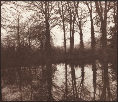 Vintertræer reflekteret i en dam, 1841-42. af William Henry Fox Talbot