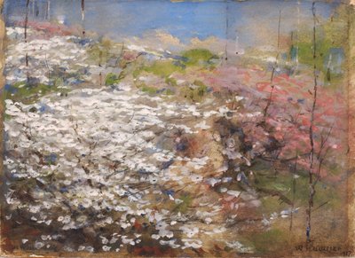 Mark med blomster af William Henry Holmes