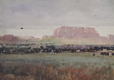 I højlandet i Colorado af William Henry Holmes