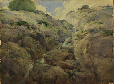 Mountain Gorge, Colorado af William Henry Holmes