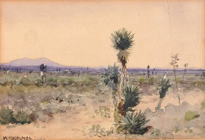 Yuccaland--Chihuahua, Mexico, n.d. af William Henry Holmes