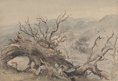 En væltet eg af William Henry Hunt