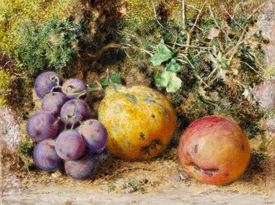Sorte druer, kvæde og Newtown Pippin, 1861 (wc på kort) af William Henry Hunt