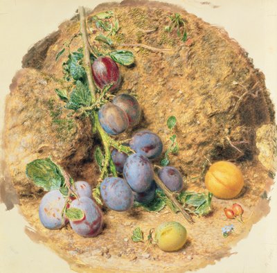 Blommer af William Henry Hunt