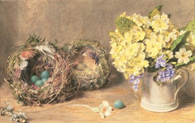 Forårsblomster og fuglerede, ca. 1830 (akvarel og kropsfarve på papir) af William Henry Hunt