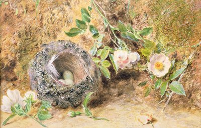 Stilleben med bogfinkereden af William Henry Hunt