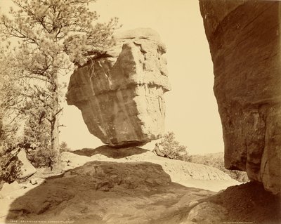  af William Henry Jackson