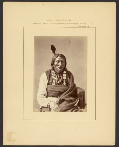 [Angreb på Hauk - (Brulé Dakota)] af William Henry Jackson