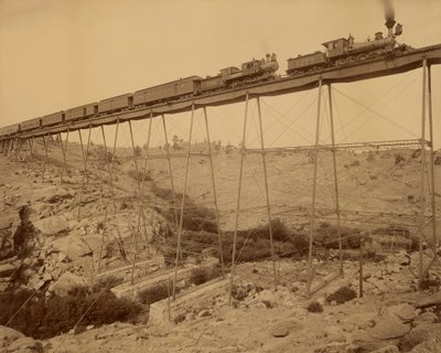 Dale Creek Bridge af William Henry Jackson