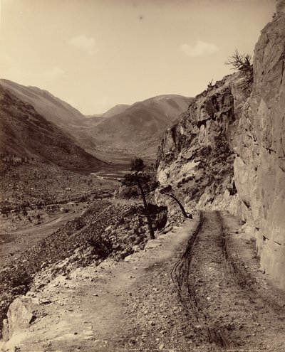  af William Henry Jackson
