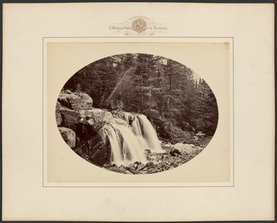  af William Henry Jackson