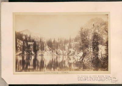  af William Henry Jackson
