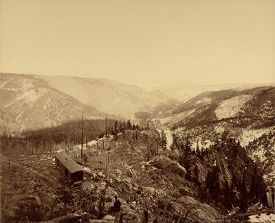 Los Pinos-dalen, set mod øst af William Henry Jackson