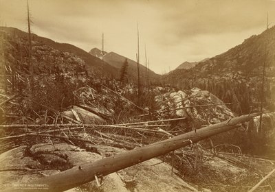  af William Henry Jackson
