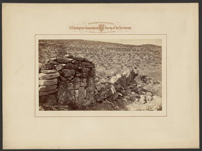Ruiner i Montezuma Cañon af William Henry Jackson