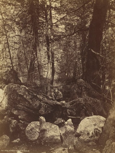 Sporet i West Gallatin Cañon, ca. 1870