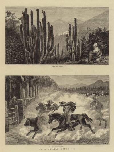 Ved en chilensk Rodeo, III af William Henry James Boot