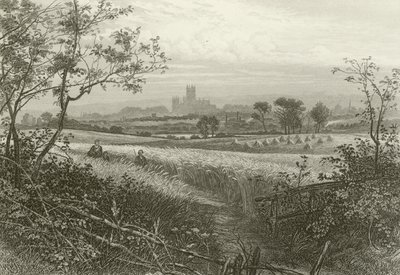 Canterbury Cathedral, fra Harbledown af William Henry James Boot
