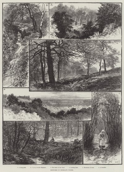 Skitser i Highgate Woods af William Henry James Boot