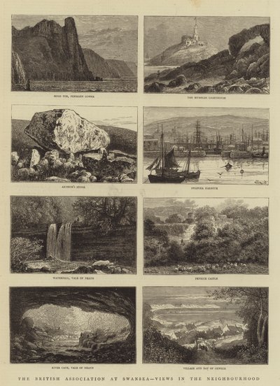 The British Association at Swansea, Views in the Neighborhood af William Henry James Boot