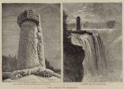 Niagara-faldene af William Henry James Boot